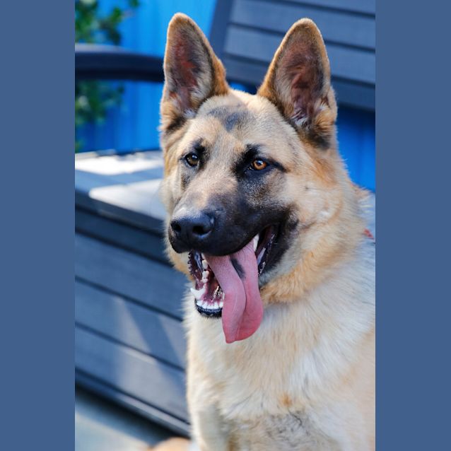 Photo of Axle