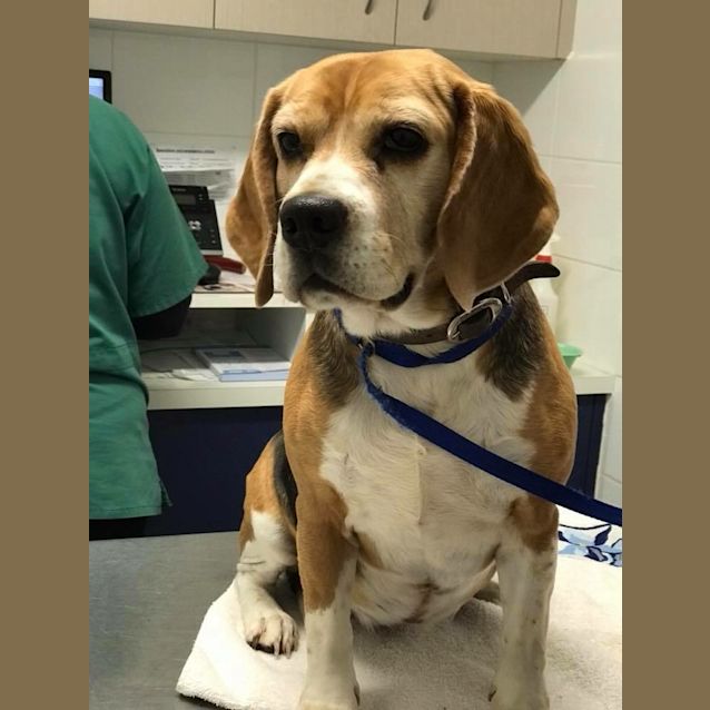 Photo of Luci & Oskar