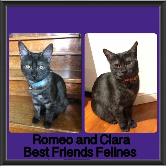 Photo of Romeo And Clara 