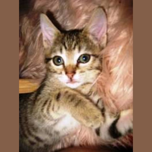Photo of Lola