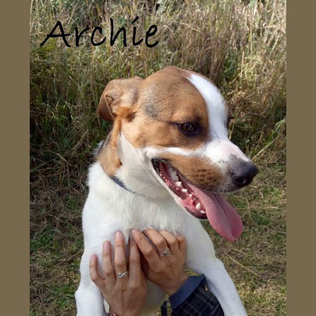 Photo of Archie