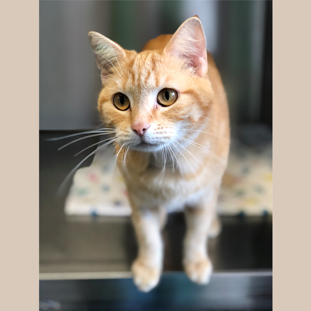 Photo of Meggs 