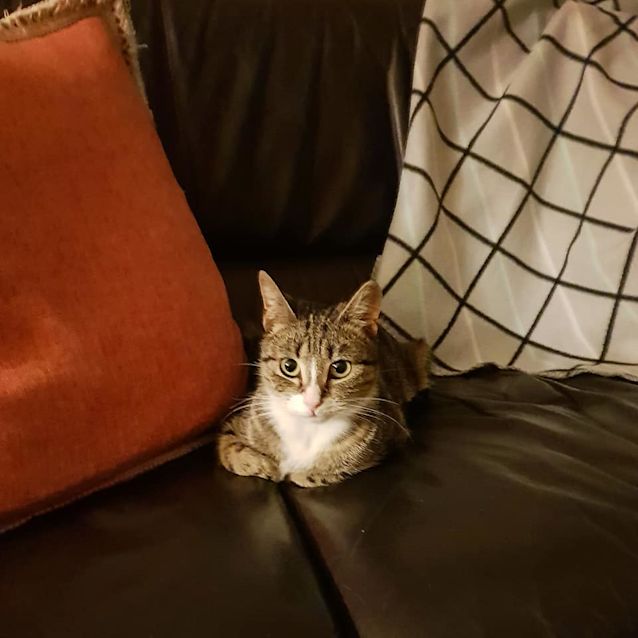 Photo of Millie