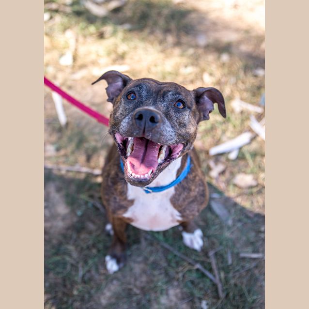 Photo of Scooter