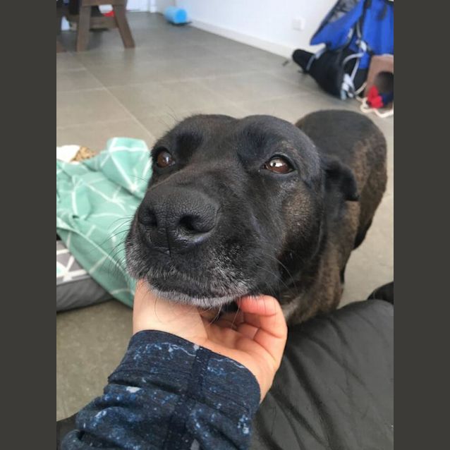 Photo of Roxy