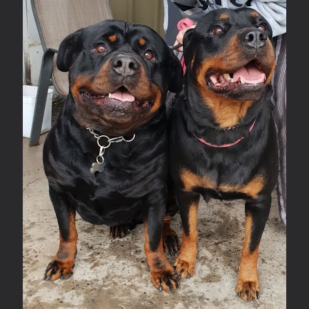 Photo of Bonnie & Clyde 