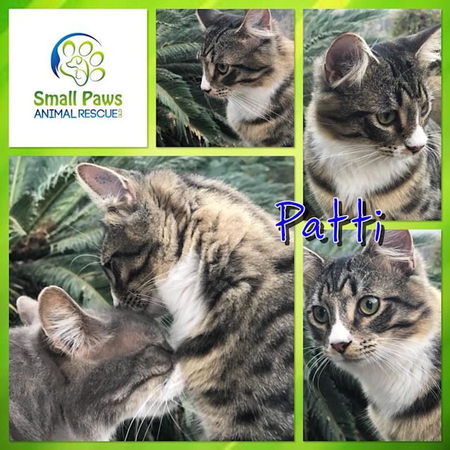 Photo of Patti