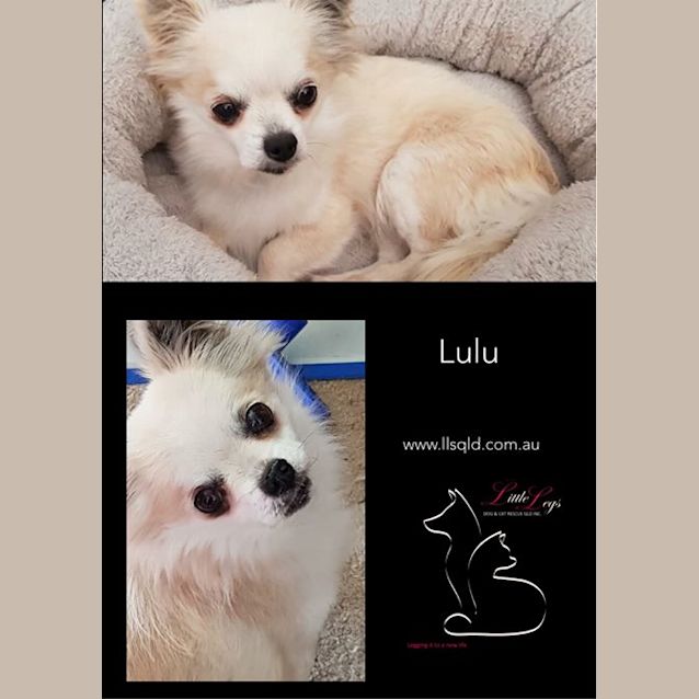 Photo of Lulu