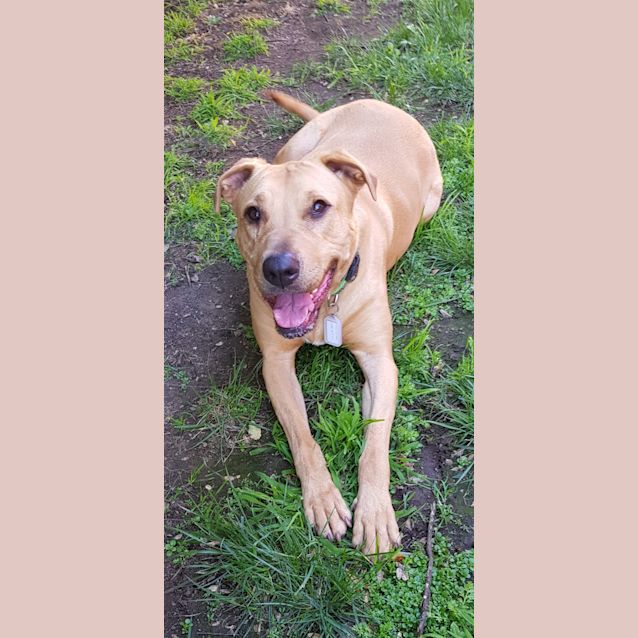 Photo of Sally