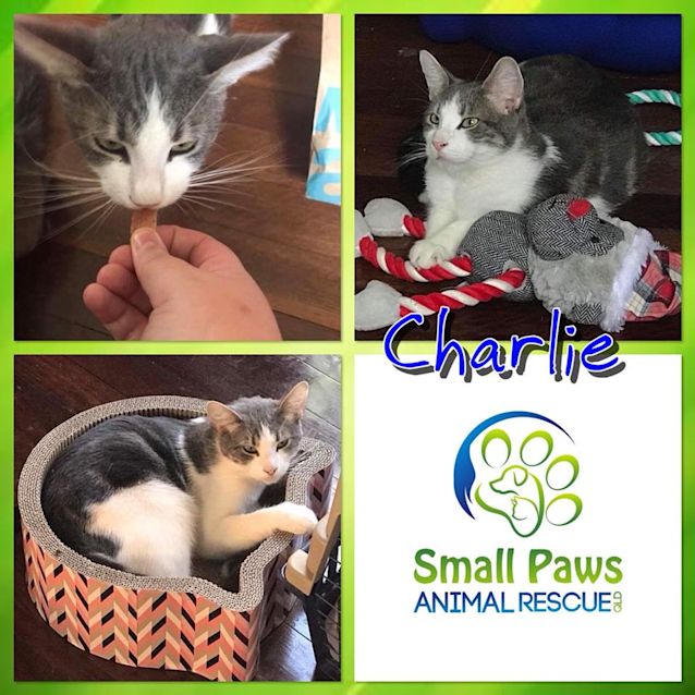 Photo of Charlie