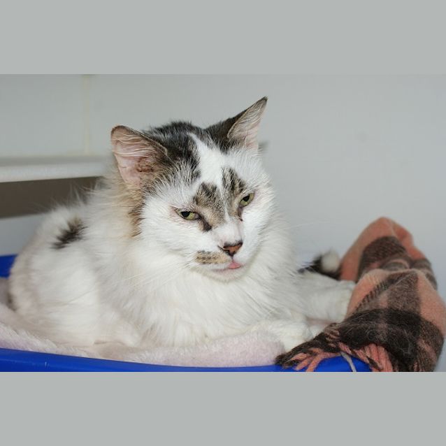 Photo of Logan Rsua002812