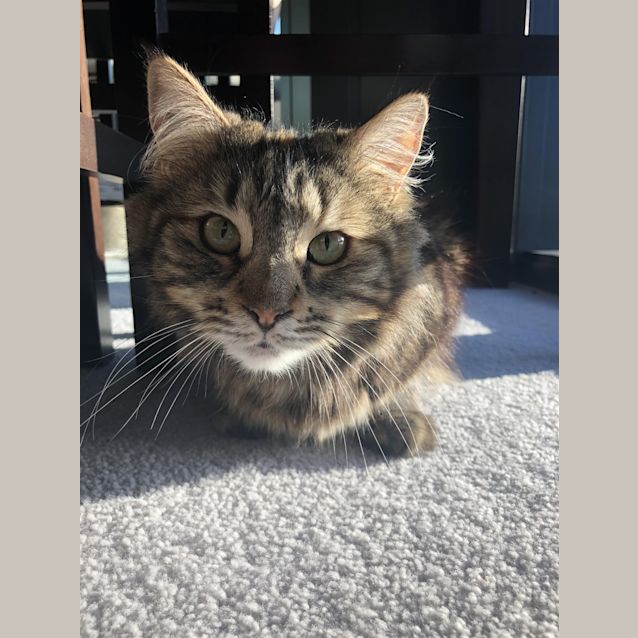 Photo of Amelia