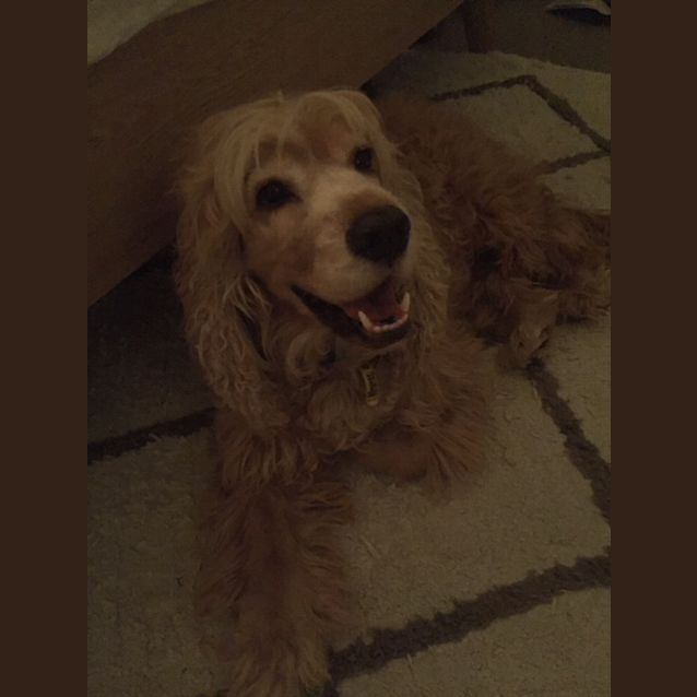 Photo of Marley 🍰