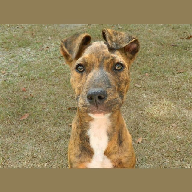 Photo of Roxie