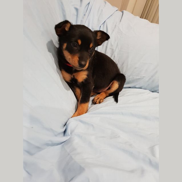 Photo of Amber 
