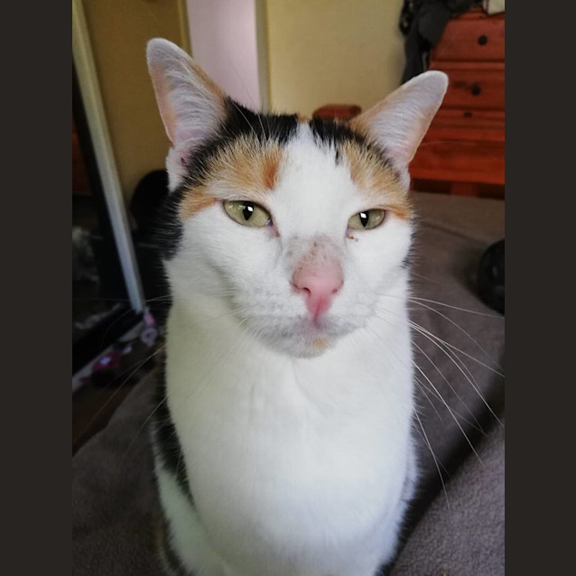 Photo of Nell