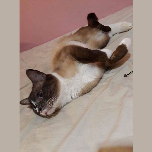 Photo of Milly 