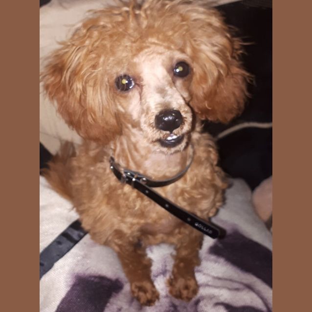 Photo of Paddington