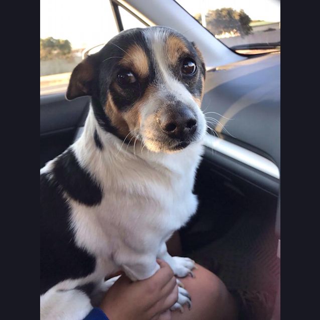 Photo of Hugo