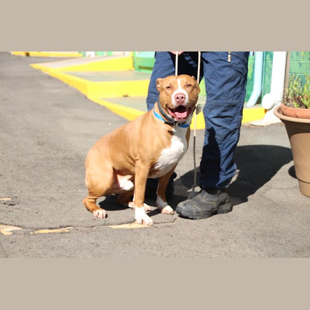 Photo of Kyser (3606)