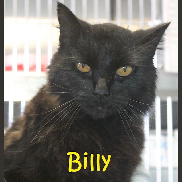 Photo of Billy