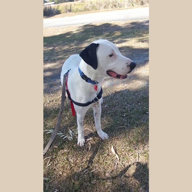 Photo of Monty