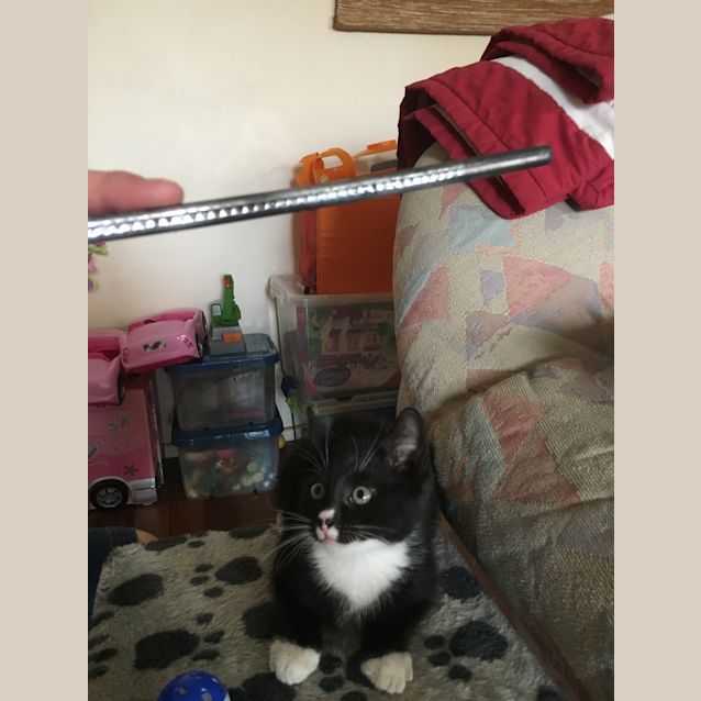 Photo of Button