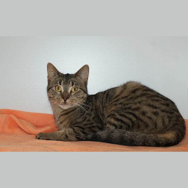 Photo of Avery Sua002921