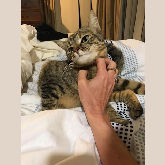 Photo of Lovely Lexy   $49