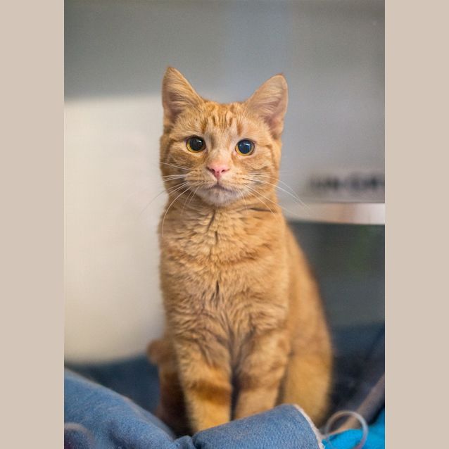 Photo of Delilah