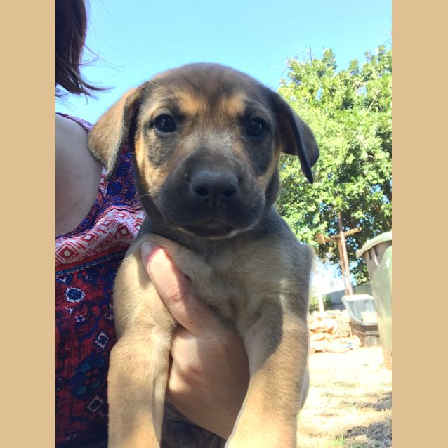 Photo of Reuben  Brown Boy