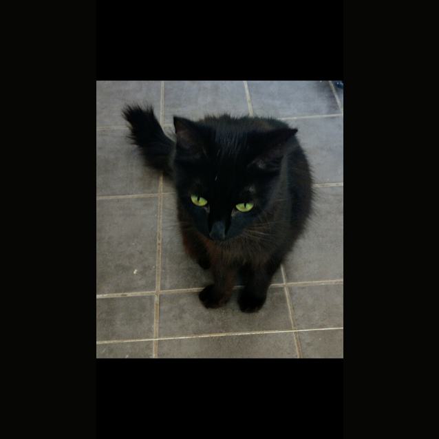 Photo of Serabi