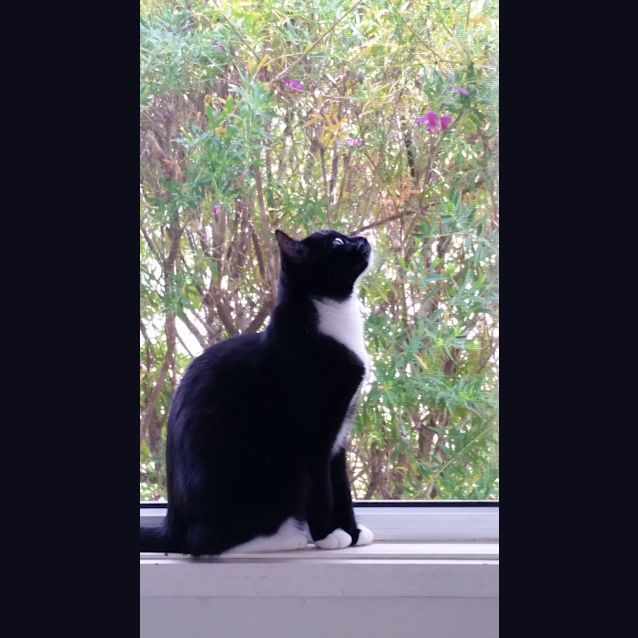 Photo of Missy