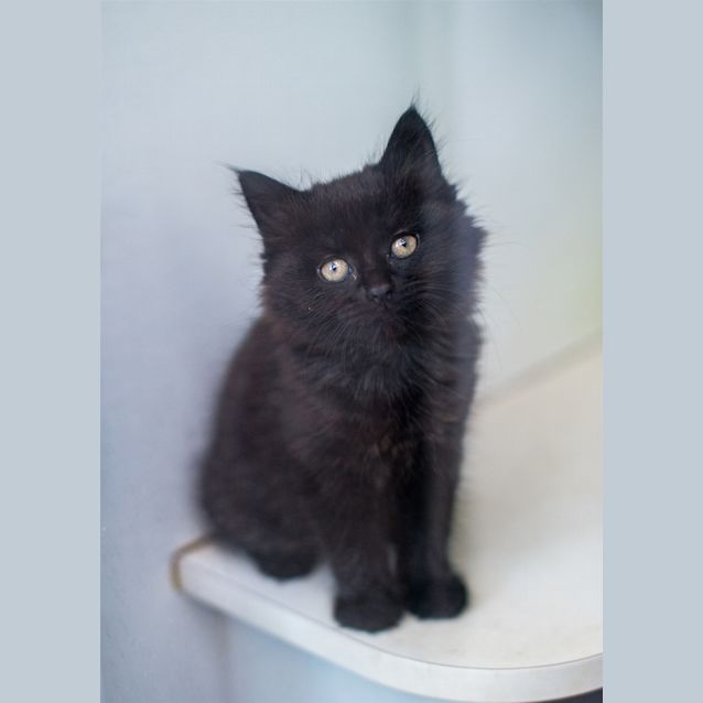 Photo of Selma