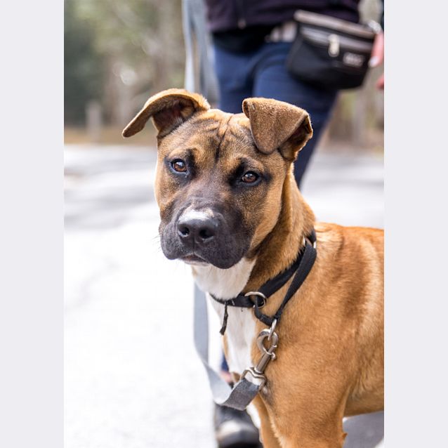 Photo of Batman