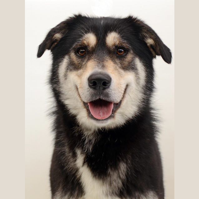 Photo of Wilbur