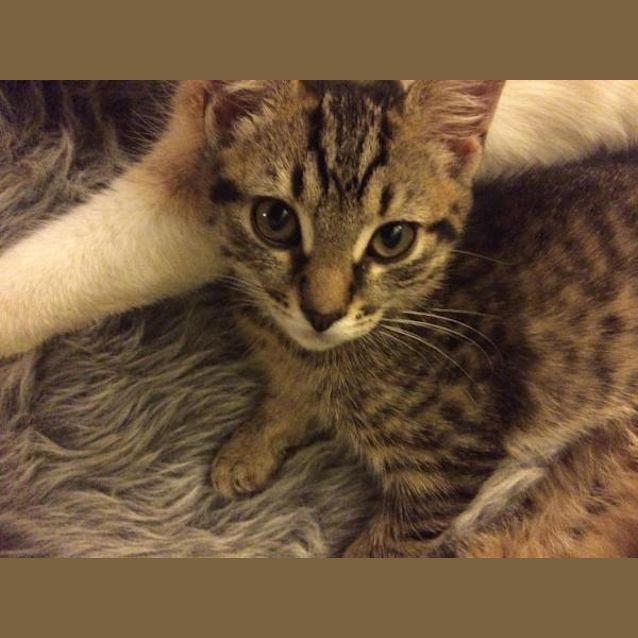 Photo of Mile