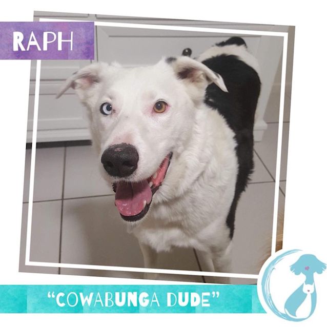 Photo of Raph