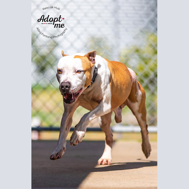 Photo of Steve Pcc 544