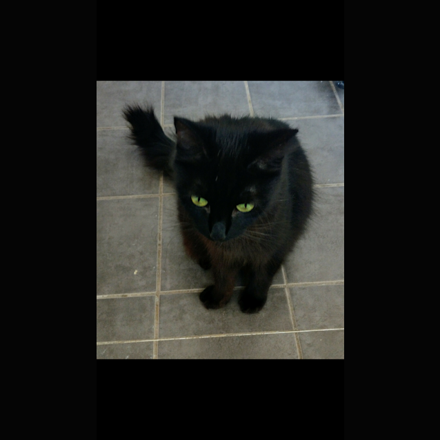 Photo of Serabi