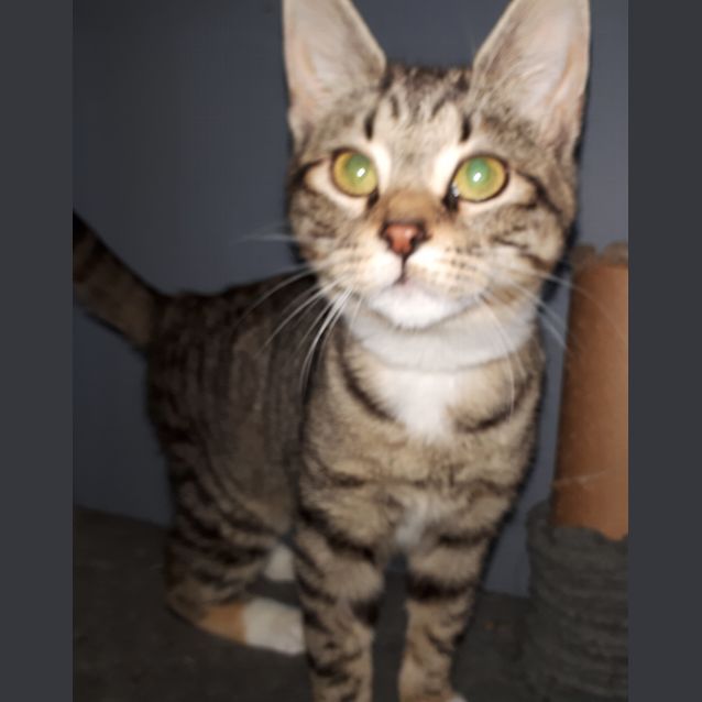 Photo of Boots