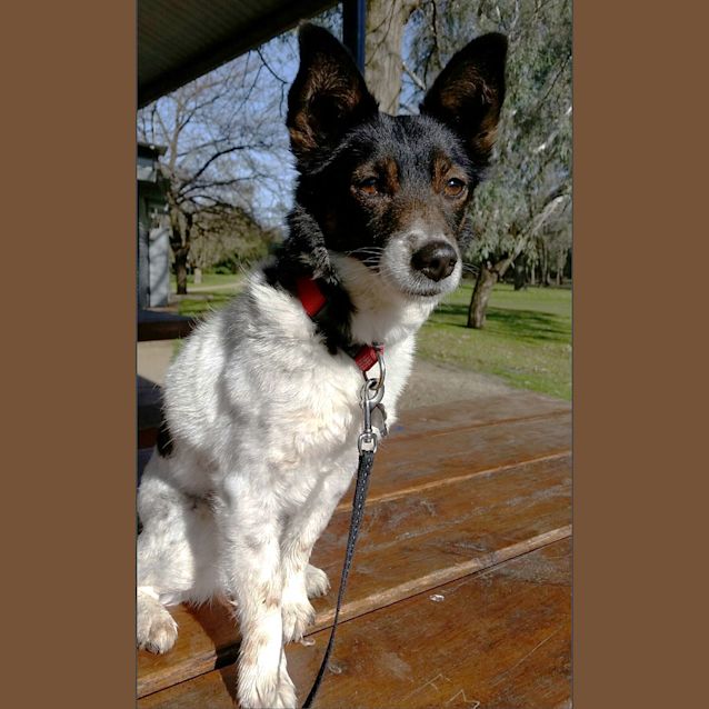 Photo of Holly