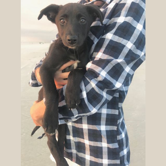 Photo of Midnight Bmd0014