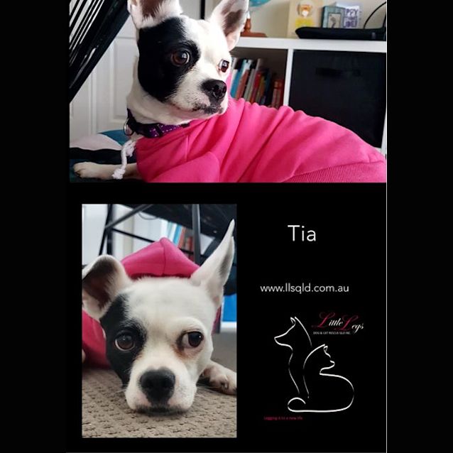 Photo of Tia