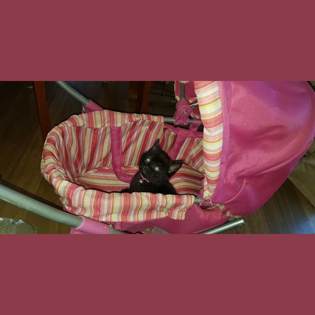 Photo of Tabitha 