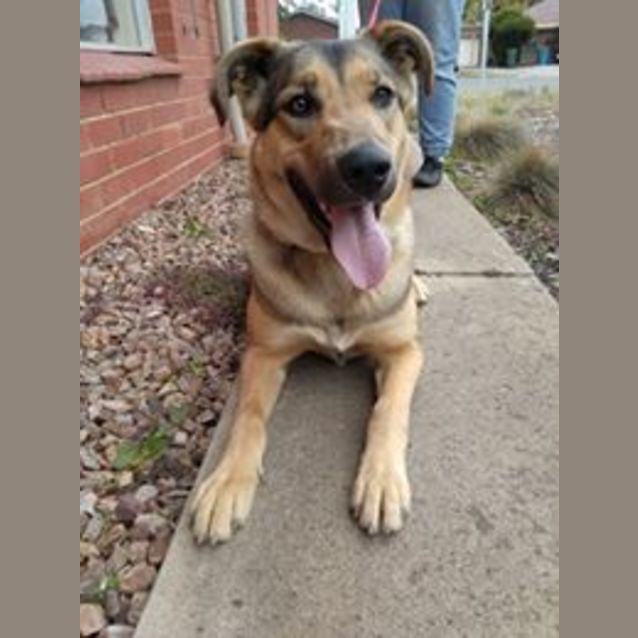 Photo of Narla