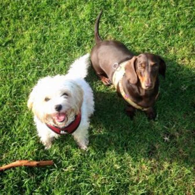 Photo of Frankie And Lucy