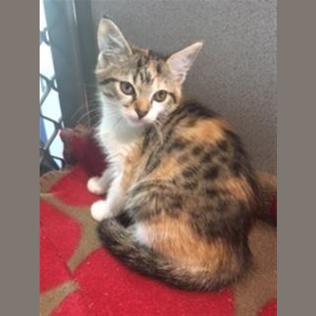 Photo of Esme