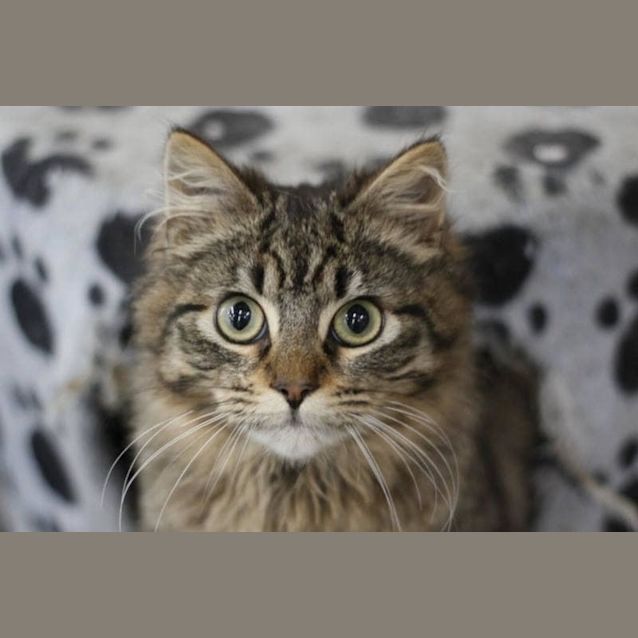 Photo of Ted
