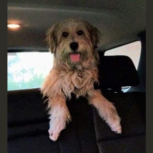 Photo of **On Trial**   Zuma 